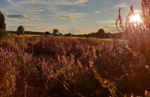 Schönes Apartment vor den Toren Hamburgs - keine Monteurwohnung - Foto 23