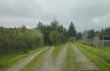 A Relaxing Getaway-A Backwoods Cabin SolDuc River - Foto 16