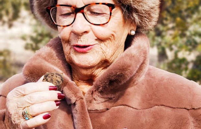 Tour de la trufa por Ocenilla - Foto 3