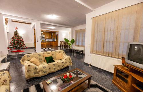 ΜΕΤΕORΑ- KALAMBAKA- TRIKALA-Villa Toscana - Foto 20