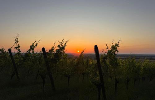 Panorama-180-Grad - Foto 1