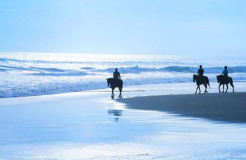 Experience the Pinnacle of Coastal Living at Harbour House - Foto 63