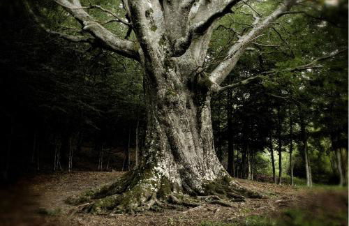 La locanda del Borgo - Photo 57