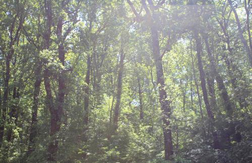 CasaLalla - Natura&Relax - Foto 40