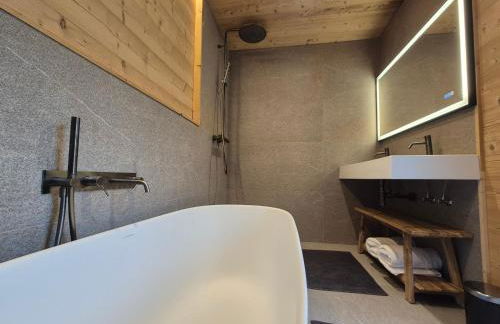 Somptueux Chalet 12 personnes - Villaroger - Foto 16