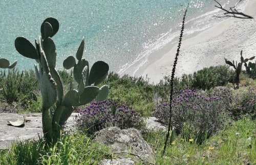 Casa Azzurrina Mare - Foto 10