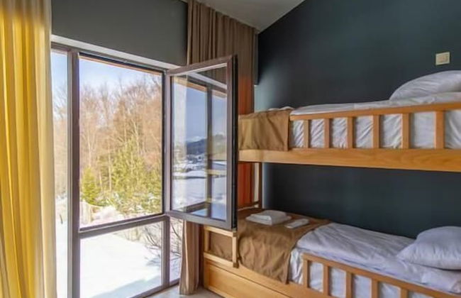 villa by sunexpress bakuriani - Foto 26