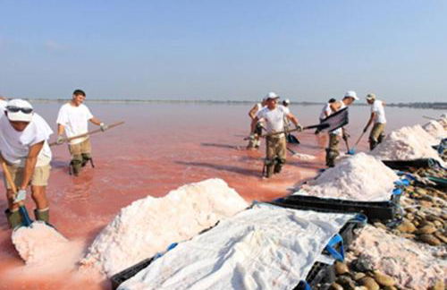 Appartement 2 pièces + cabine, 6 couchages - Foto 23