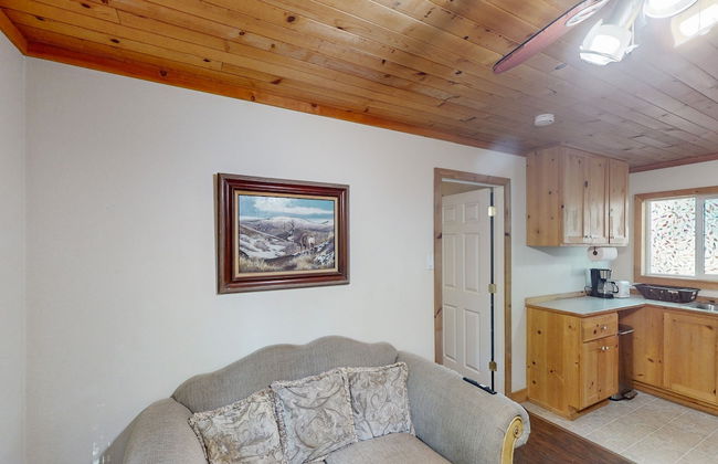 Rouge Cobb Mountain Cabins - Photo 18