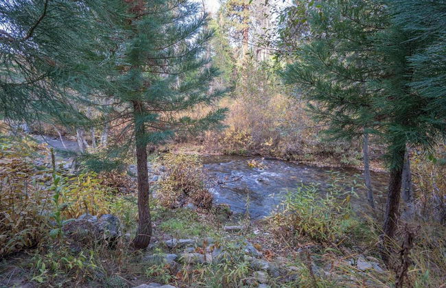 Yosemite Heights on Big Creek - Photo 23