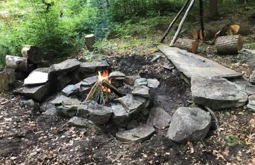 Rustic Cabin Retreat on the Ten Mile River in Narrowsburg, New York - Foto 63