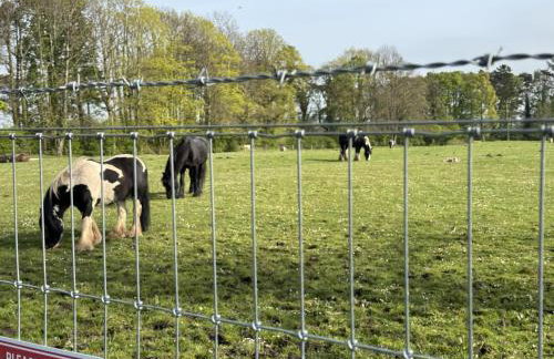 Haggerston Castle - Caravan - Sleeps 6 - Parking - Foto 31