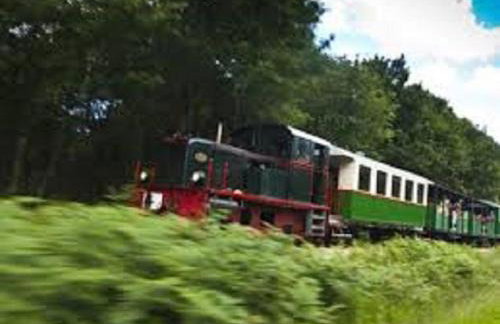 Spacieuse fermette près des châteaux & Zoo de Beauval avec activités et grand jardin - FR-1-591-218 - Foto 36