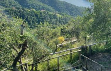 Corner of Paradise Moneglia - Foto 73