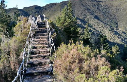 House Vila Santa Ana - Foto 58