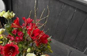 Plum Cottage Somerset - Foto 25