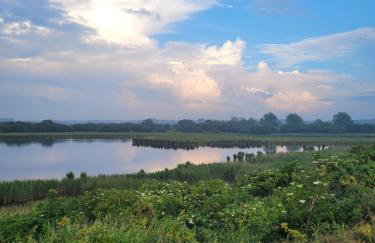 Maison moderne, ambiance californienne, proche mer - Foto 14