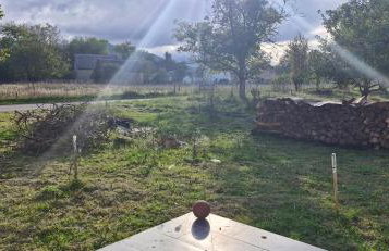 Haus Martha - Foto 30