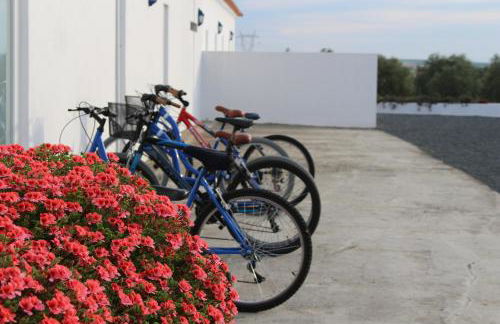 Sesmarias Turismo Rural & SPA - Foto 16