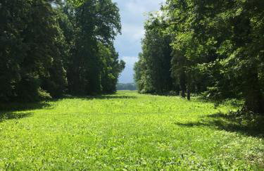 Oficyna Winiarza - Foto 30