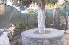 Petroula Apartments II - Photo 37