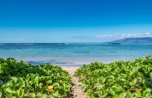 Puunoa Beach Estates 103 - Foto 13