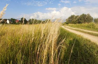 Domek nad Bugiem z Sauną - Foto 7