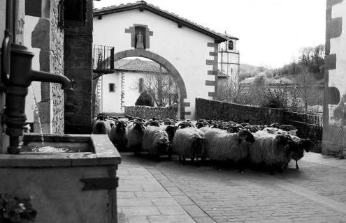 Apartamento Larrazu Agroturismo Baztán - Foto 54