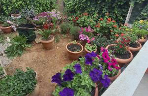 Carpe Diem Apartments By Athens Airport - Foto 116