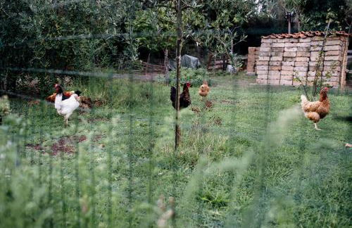 La Casa Dei Fiori - Foto 32