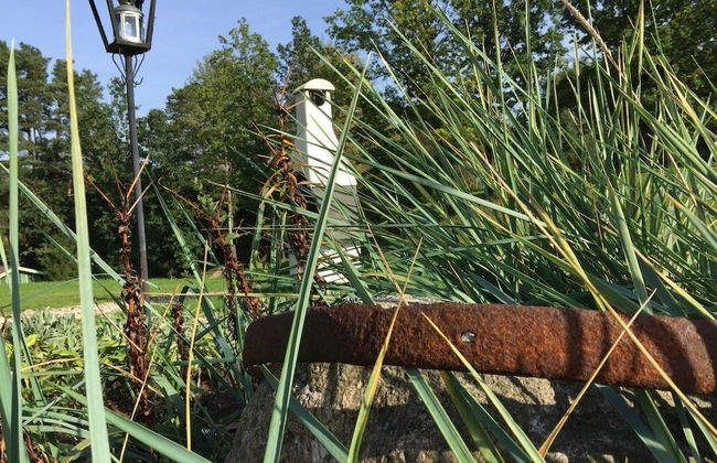 Kaimo Turizmo Sodyba Geras - Photo 52