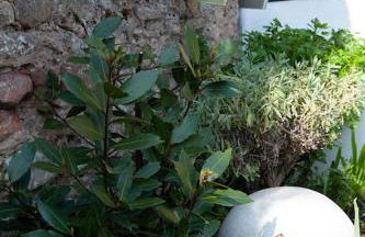 Boutique cottage central Wells - Foto 19