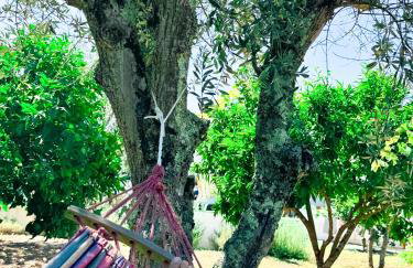 Fatima Villas - Foto 22