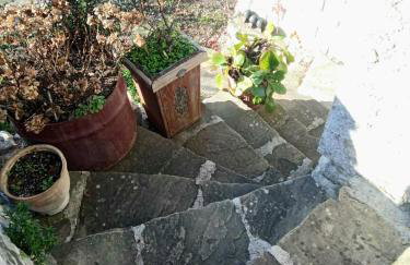 Alexadras Guesthouse - Photo 29