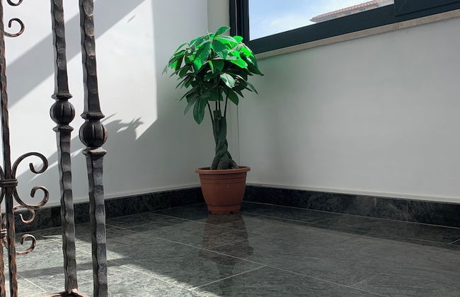 Don Michele Apartments - Photo 15