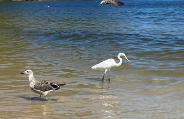 Aconchegante Loft Itaipu Na Rua da Amizade - Foto 11