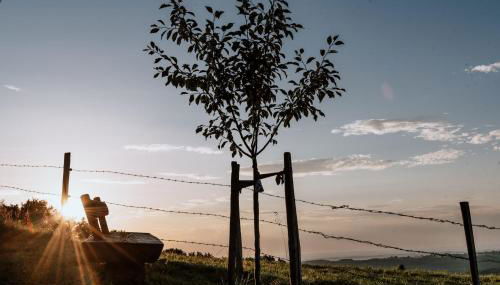Haslauer Hüttn - Foto 5