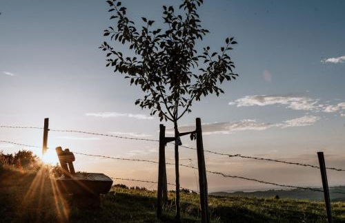 Haslauer Hüttn - Foto 5
