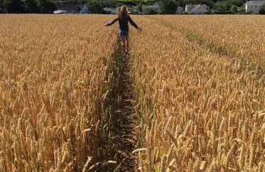 Spacious 3 Bed Cottage Near Beaches - Foto 27