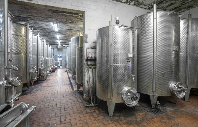 Tenuta Moriano - Foto 49