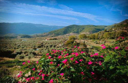 Casa Lourdes - Foto 39