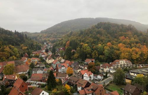 Waldläufer - Foto 13