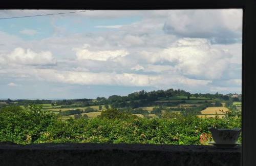 Chez Norbert - Foto 16