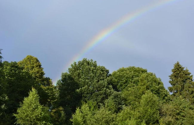 Scenic Cottage in Rahier - Photo 36