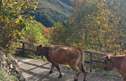 Luna Creciente Casa Luna de La Viliella - Foto 47