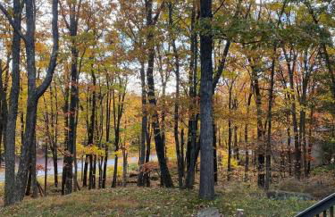 Paradise Uncovered Chalet Near Lake - Foto 30