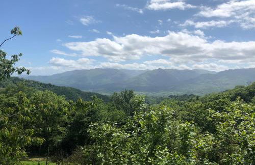 Agriturismo LA VECCHIA CASCINA - Foto 18