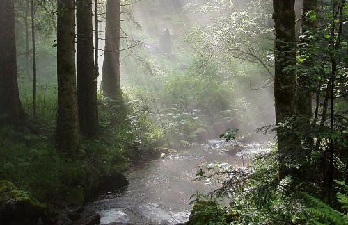 Gîte Le Clos des Vosges - Foto 42