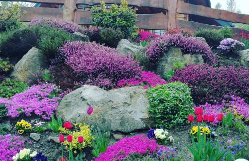 Przystanek Beskidy - Foto 10