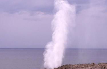 La Llobera Apartamentos - Foto 28